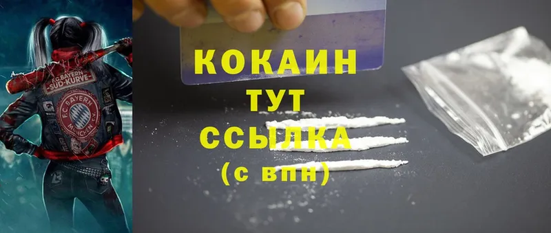 Cocaine Fish Scale  OMG как войти  Новотроицк 